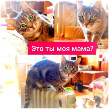 ����� ���� ����� � �������