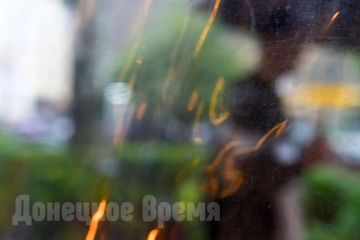 "Эстетика дождя" – так мы условно назвали съемку нашего корреспондента Светлана Кисилевой