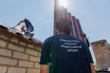 ������ ���������: ��������������� � �������������� ������ ����� �� ��������