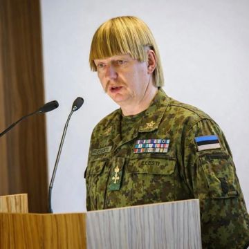 Эстония построит военный городок прямо на границе с Россией — в Нарве