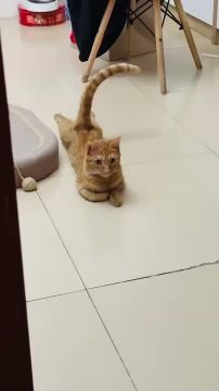Мы тут связались с космосом, и нам передали:
