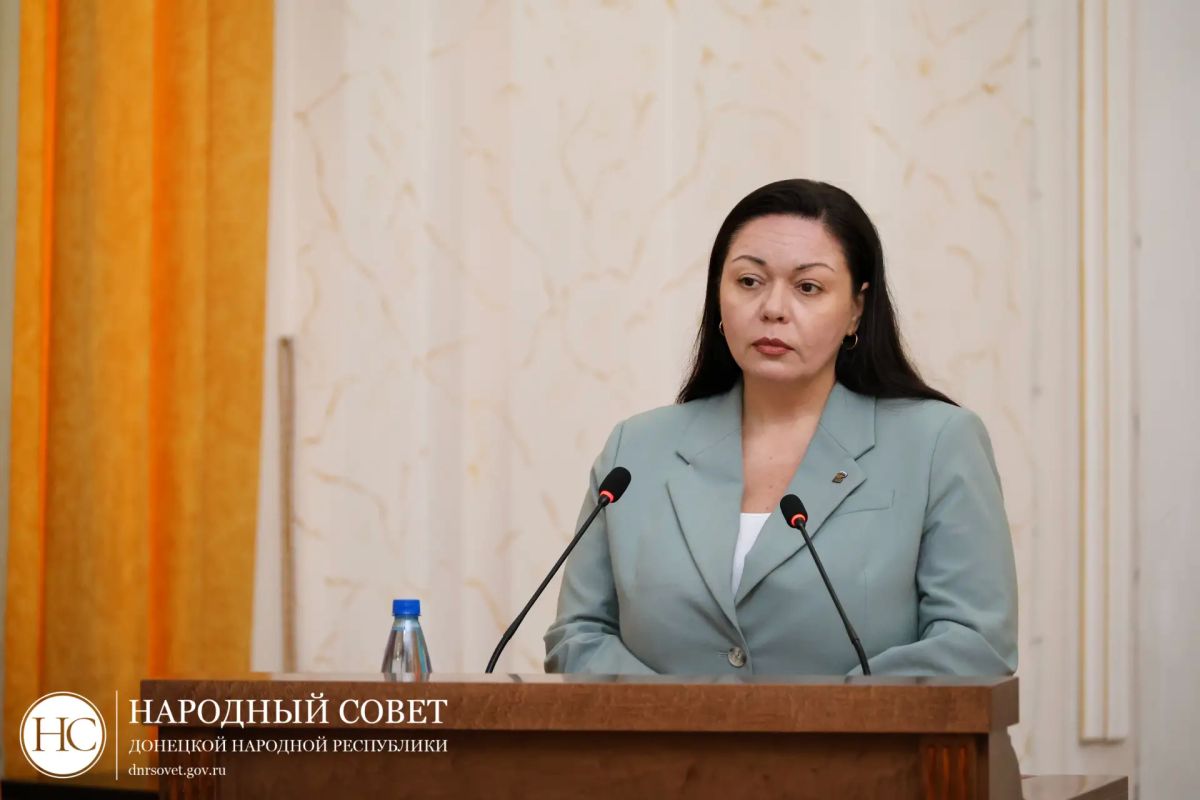 Парламентарии рассмотрели отчет об управлении собственностью Донецкой Народной Республики