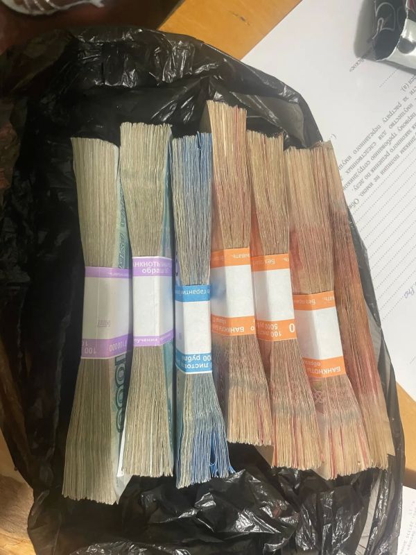 Полиция изобличила завербованную онлайн-аферистами женщину, забиравшую деньги у обманутых жителей ДНР