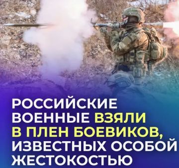 Наши бойцы взяли в плен украинских боевиков полка «Скала»