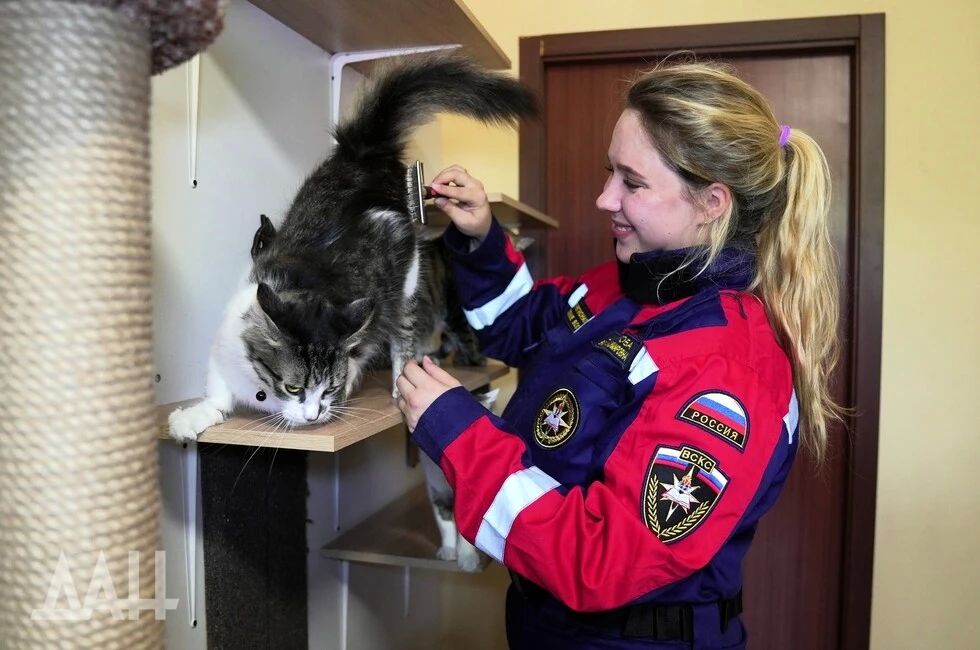 Можешь меня погладить: Питомцы «Кошкиного дома» приняли помощь активистов ВСКС
