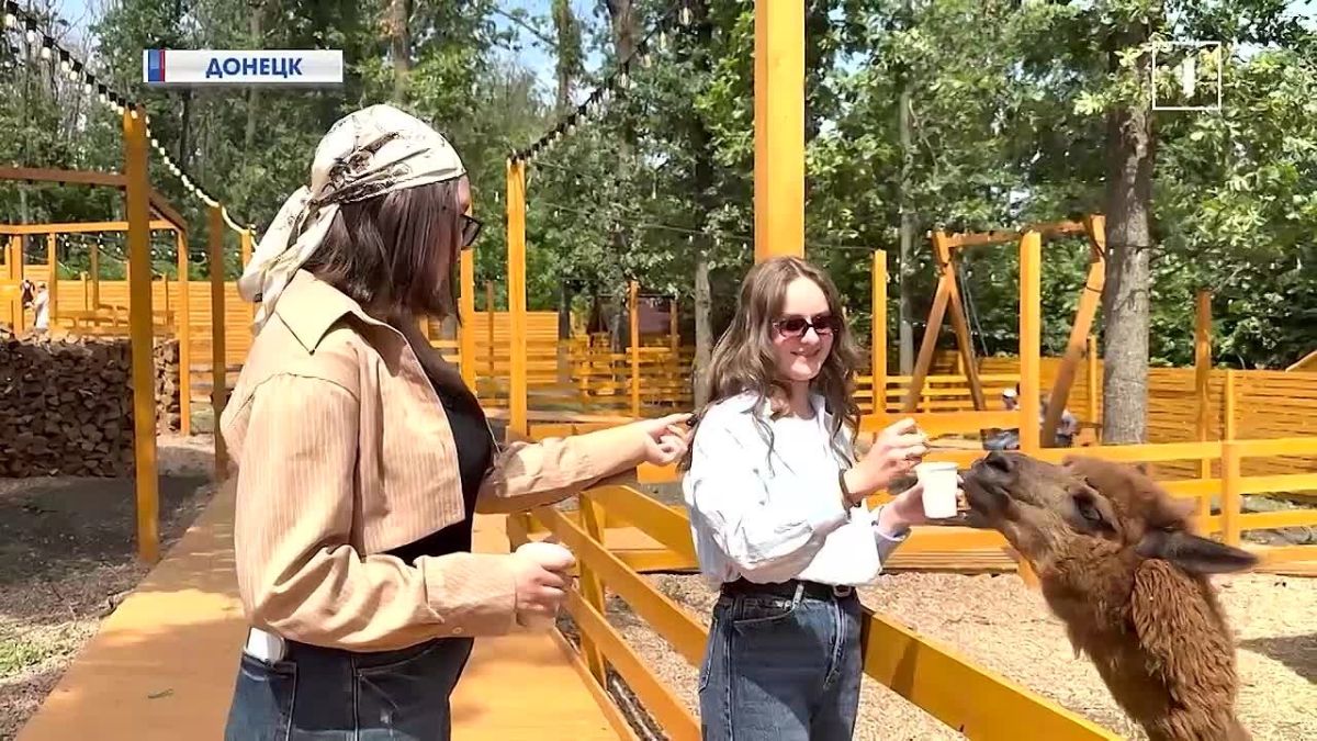 Пушистая сторона Донецка: первый парк альпак уже принимает гостей