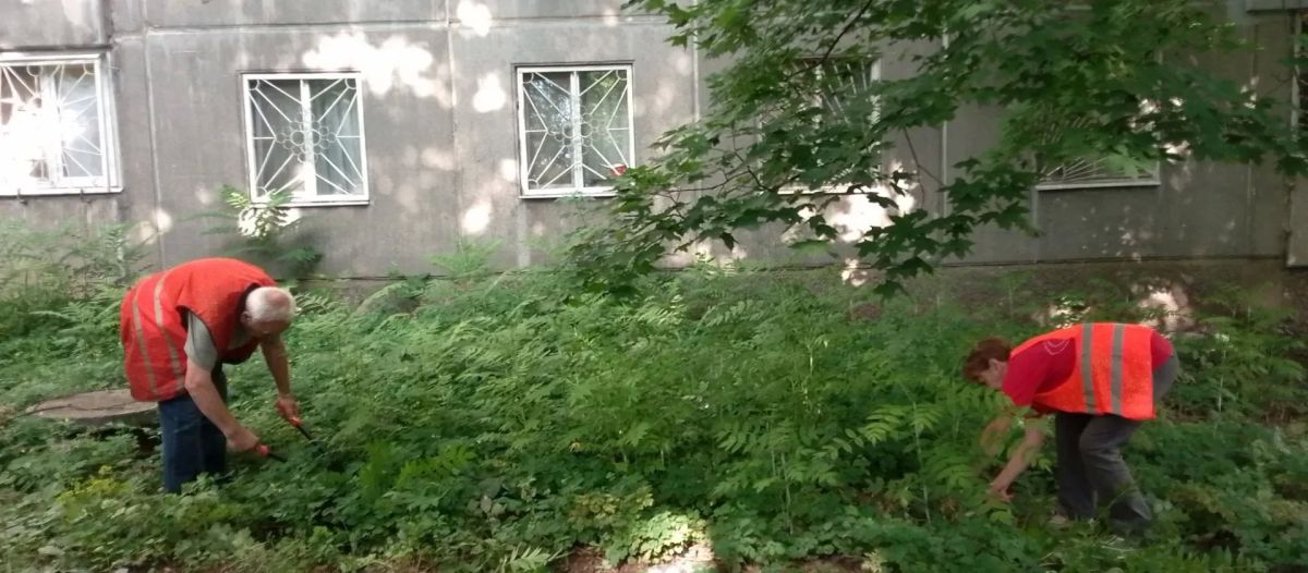Сегодня, 23 июля, в рамках проекта "Городская среда" сотрудники учреждений, организаций и предприятий всех форм собственности Калининского внутригородского района городского округа Донецк присоединились к экологической ...