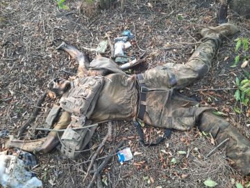 Уничтоженные на Южно-Донецком направлении боевики украинских формирований