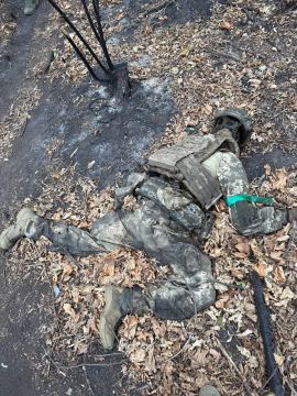 Чингис Дамбиев: Уничтоженные на Южно-Донецком направлении боевики украинских формирований