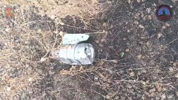 �������� ������ �������� � �������� ���������� �������� �������� �� ������ ������������� 158 ���������������� ���� �� ������� ���