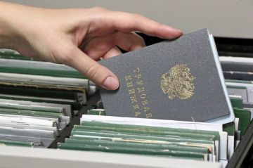 Лариса Толстыкина: 24 213 – свободные рабочие места в ДНР, информация о которых есть в базе данных центров занятости