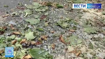 ��� ������� ���� �� ������������ ������ �������