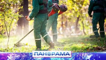 Благоустройство зон отдыха: «Гулливер» и набережная теперь со свежим газоном