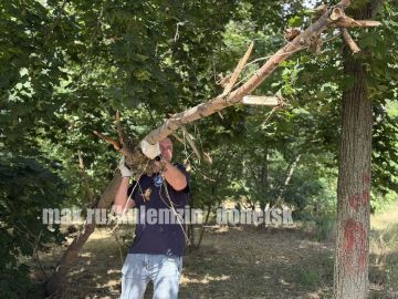 Алексей Кулемзин: Акция «Чистый четверг» во всех районах Донецка!