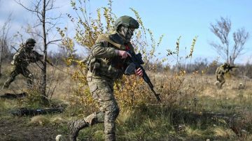 Дарья Морозова: В адрес Уполномоченного по правам человека в Донецкой Народной Республике обратилась гражданка В. Ее супруг, участник СВО, числится пропавшим без вести с мая 2026 года при выполнении боевой задачи