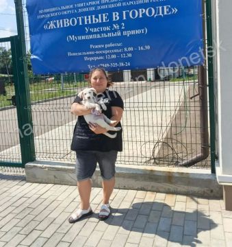 ����������� ����������� ��������� � ������ ���������� ���� ���������� ������: