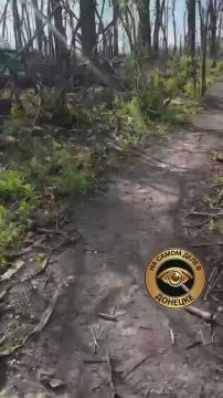 ��������� �������� �� ��������������� ��� ���������