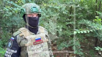 За прошедшую неделю следователями СК России зафиксированы преступления вооруженных формирований Украины, совершенные в отношении мирного населения ДНР
