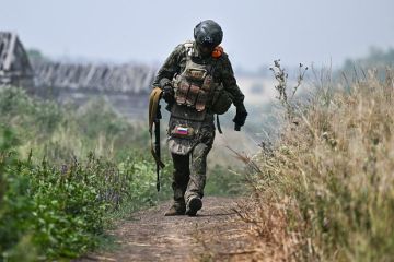 Пушилин: ВС РФ подступают к южным и восточным окраинам Доброполья