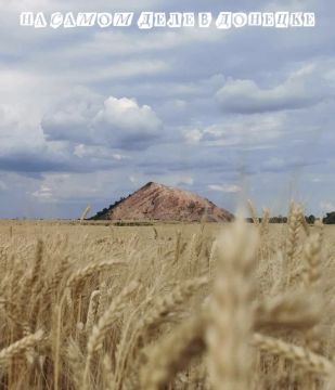 Доброе утро, Донбасс!. Россия готова к переговорам по Украине при зрелом подходе Запада, заявил в интервью ТАСС замглавы МИД РФ Галузин
