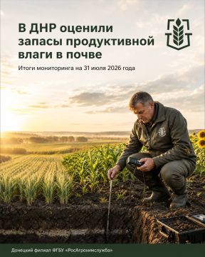 Влагообеспеченность почв в ДНР остается на благоприятном уровне