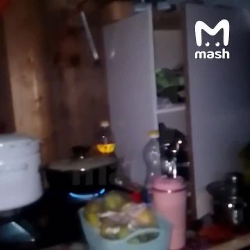 Украинец больше года жил в самодельном бункере под городом Родинское в ДНР