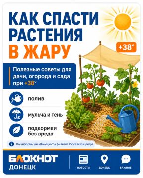 ��� ������ ������ � ��� �� ���� �� +40�C
