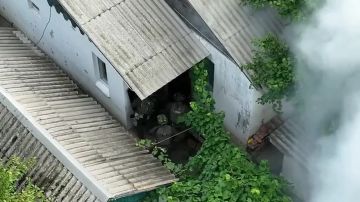 Бойцы спецподразделения ГУ Росгвардии по ДНР оказали силовую поддержку коллегам из МВД в ходе задержания жителя Донецка, подозреваемого в незаконном хранении оружия