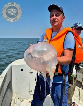 В Азовском море учёные тестируют сети от медуз