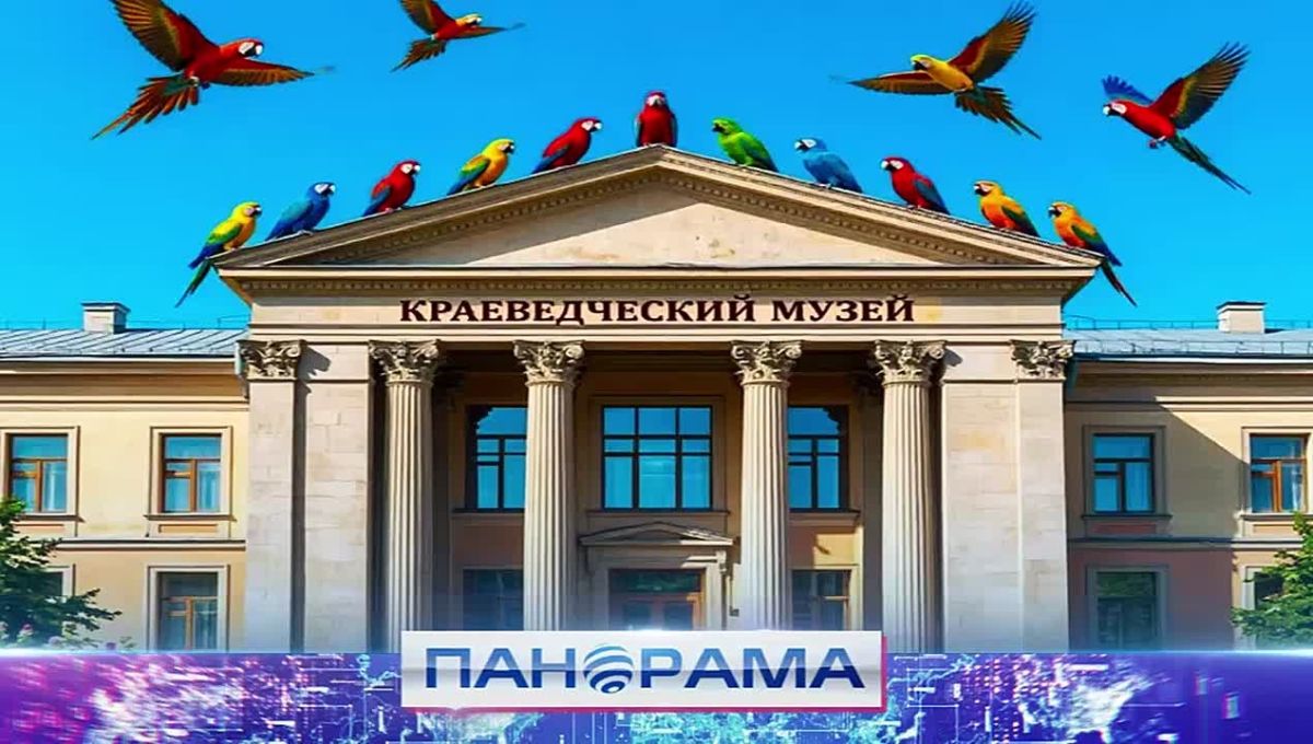 Пернатые родного края! Какие интересные факты узнали ребята о птицах?