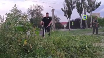 ���������� �������: �������� ����� - ������ � ������� �� ������� � ����������� �������� ���� �187 � ������� ������ ��������� �������: ���� ����� ���������� ������� ������� ������