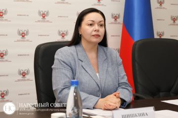 Законность и порядок: в Народном Совете обсудили вопросы исполнения наказаний на территории ДНР