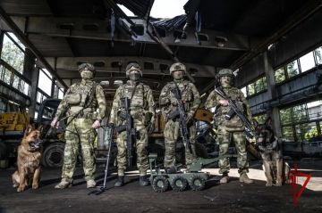 В ДНР росгвардейцы обнаружили и обезвредили более 200 взрывоопасных предметов