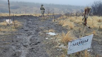ВС России освободили Новосолошино и Андреевскую общину