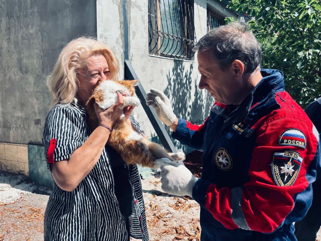 Не мог слезть двое суток: в Донецке добровольцы ВСКС помогли застрявшему на дереве коту