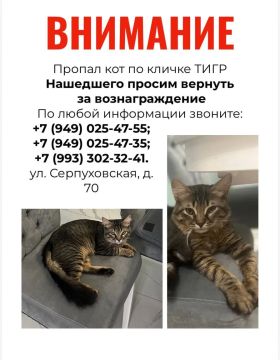 50 000 ������ �� �����: � ������� ���� ��������� ����
