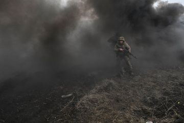 ����: ������������ ������������� � �������� �������� ������� ��� ������������