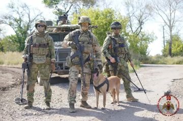 В День фронтовой собаки кинолог Росгвардии рассказал об особенностях выполнения задач СВО в ДНР
