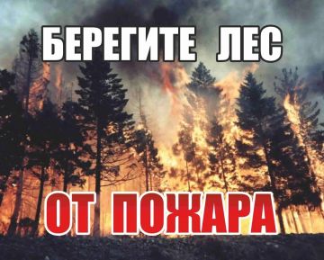 Минприроды ДНР напоминает: берегите лес от пожаров!