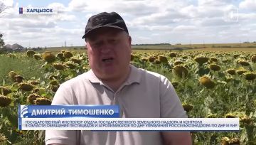 В период с 11 по 18 августа 2026 года государственными инспекторами Управления Россельхознадзора по Донецкой Народной Республике и Луганской Народной Республике в ходе выездных обследований произведен отбор проб...