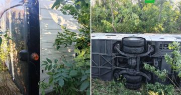 Семь человек пострадали в ДТП в ЛНР при опрокидывании автобуса в кювет