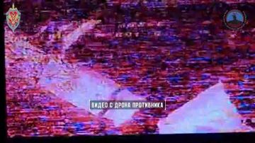 ������ �������� ������������ 88 ���������������� ���� ���