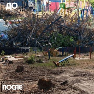 Иван Адамец: Предприятие «Донснабкомплект», при участии Управы Куйбышевского внутригородского района, провело очистку территорий от растительных отходов на улице Краковской