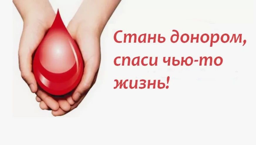 Донецкая епархия призывает сдать кровь для спасения жизней
