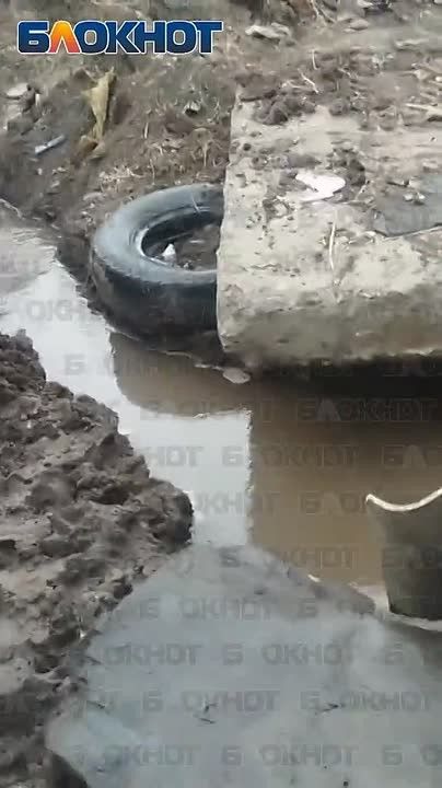 «Это должен видеть Григорьев»: дончанин показал гендиректору водоканала, куда утекает дефицитная вода