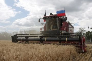 По состоянию на 31 августа в Донецкой Народной Республике намолочено уже более 987 тыс
