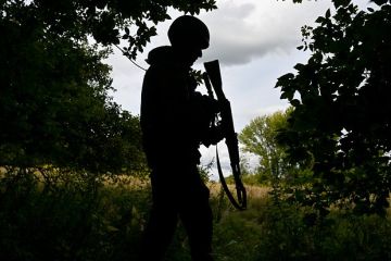 Командир Виноградов: Освобождение Анновки открыло российским войскам дорогу на Краматорск