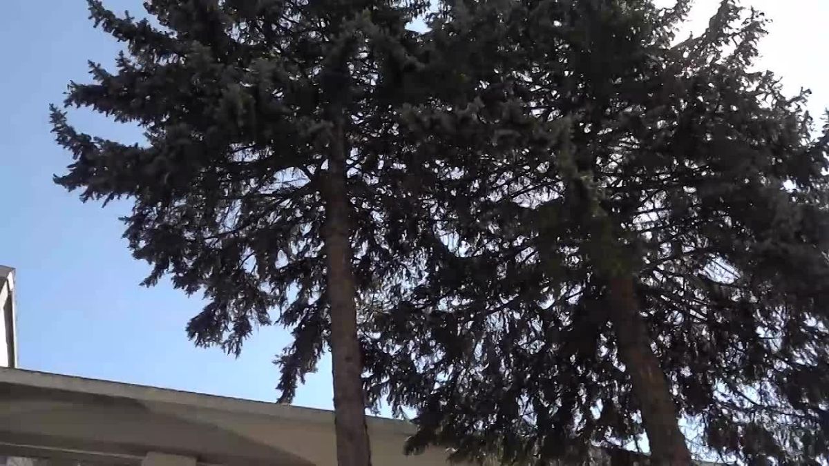 Более 570 детей приступили к обучению в Многопрофильном лицее №5 им. Н.П.Бойко в Донецке, восстановленном регионом-шефом Москвой