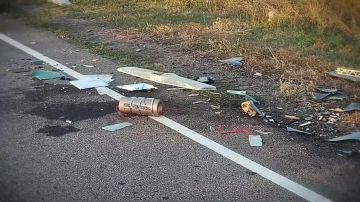 Обломки украинского дрона "Чаклун В", сбитого сводными МОГами на участке дороги под Тельманово