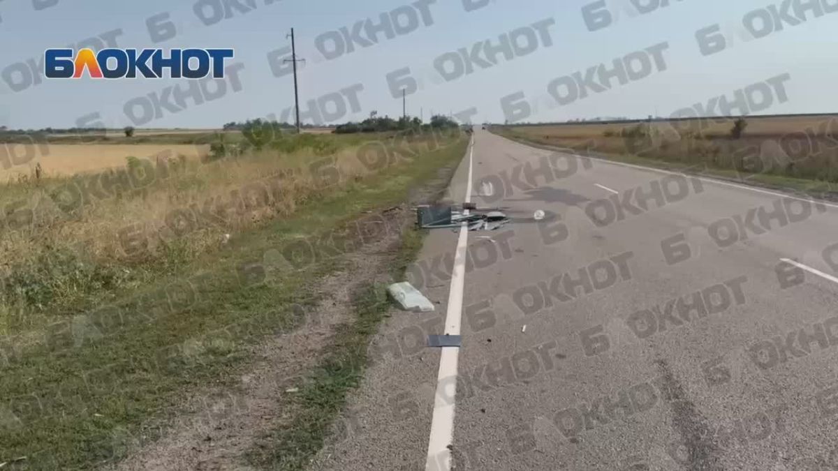 «Чаклун-В» под Тельманово: ударный дрон сбили при попытке атаки на гражданский автомобиль